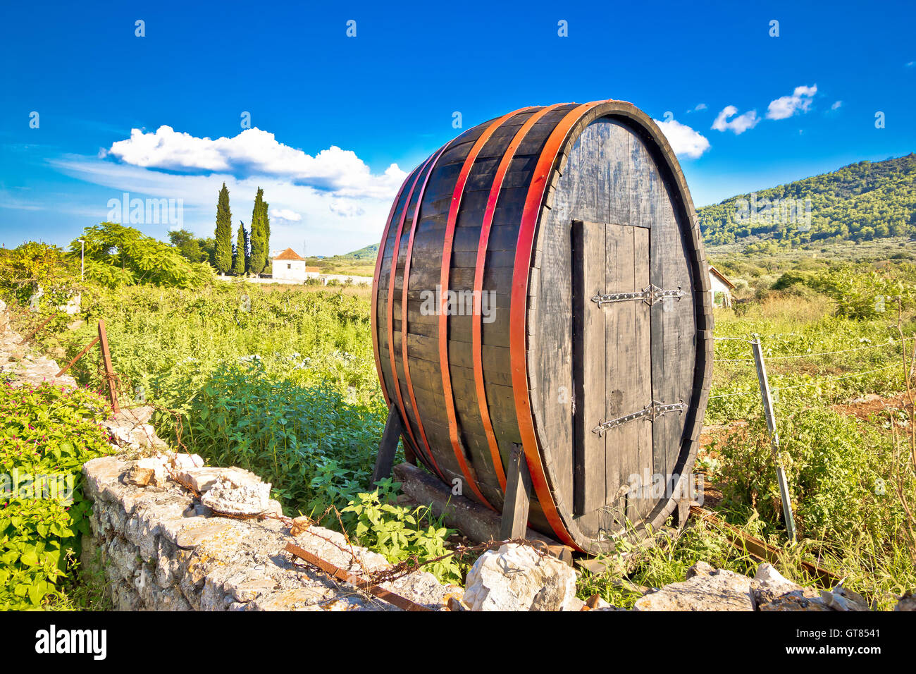 Wooden barrel on Hvar plains landscape, UNESCO world heritage site in Dalmatia, Croatia Stock Photo