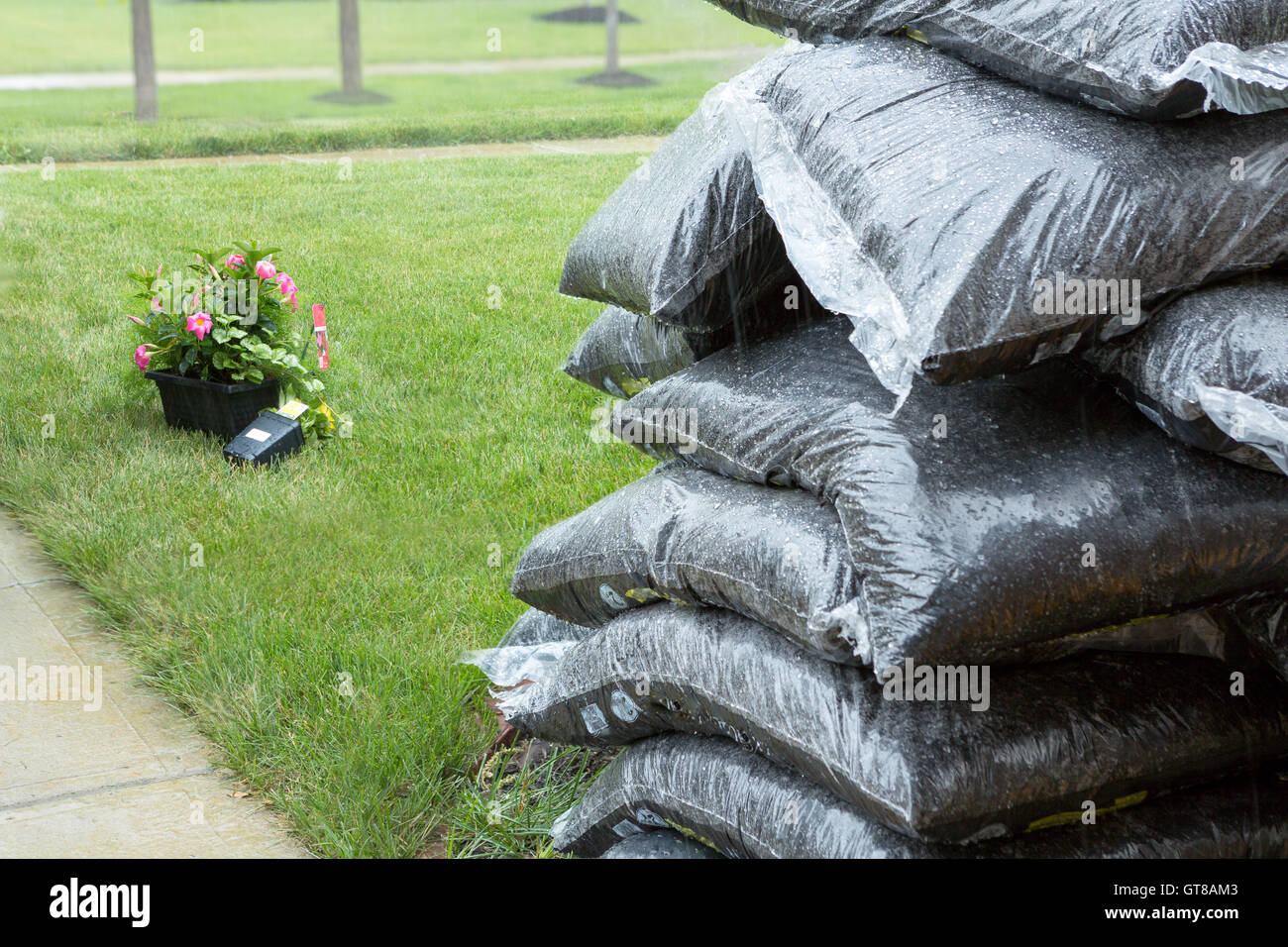 https://c8.alamy.com/comp/GT8AM3/close-up-view-of-stacked-plastic-bags-of-commercial-organic-mulch-GT8AM3.jpg