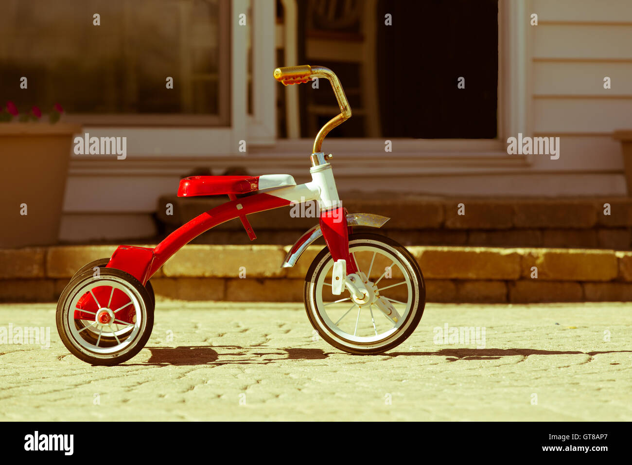 Standing trike sale