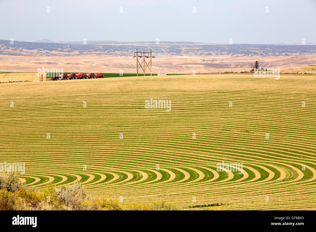 Farmland with contoured planting for pivot irrigation showing the alternating curved pattern allowing for the rotation of the wh Stock Photo