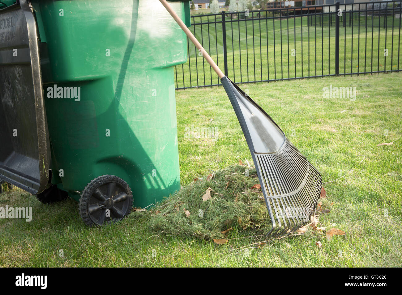 Raking up grass cuttings in spring during yard maintenance with a heap of clippings and a tined rake standing on a neatly manicu Stock Photo