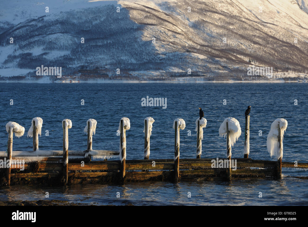 Dock in Winter, Buvik, Kvaloy, Troms, Norway Stock Photo