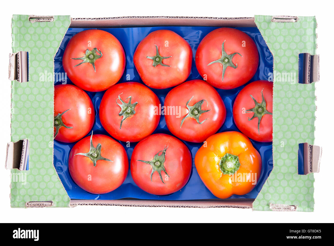 Conceptual Fresh Nine Red Tomatoes and a Yellow Bell Pepper on a Blue Tray Inside a Cardboard Box. Isolated on a White Backgroun Stock Photo