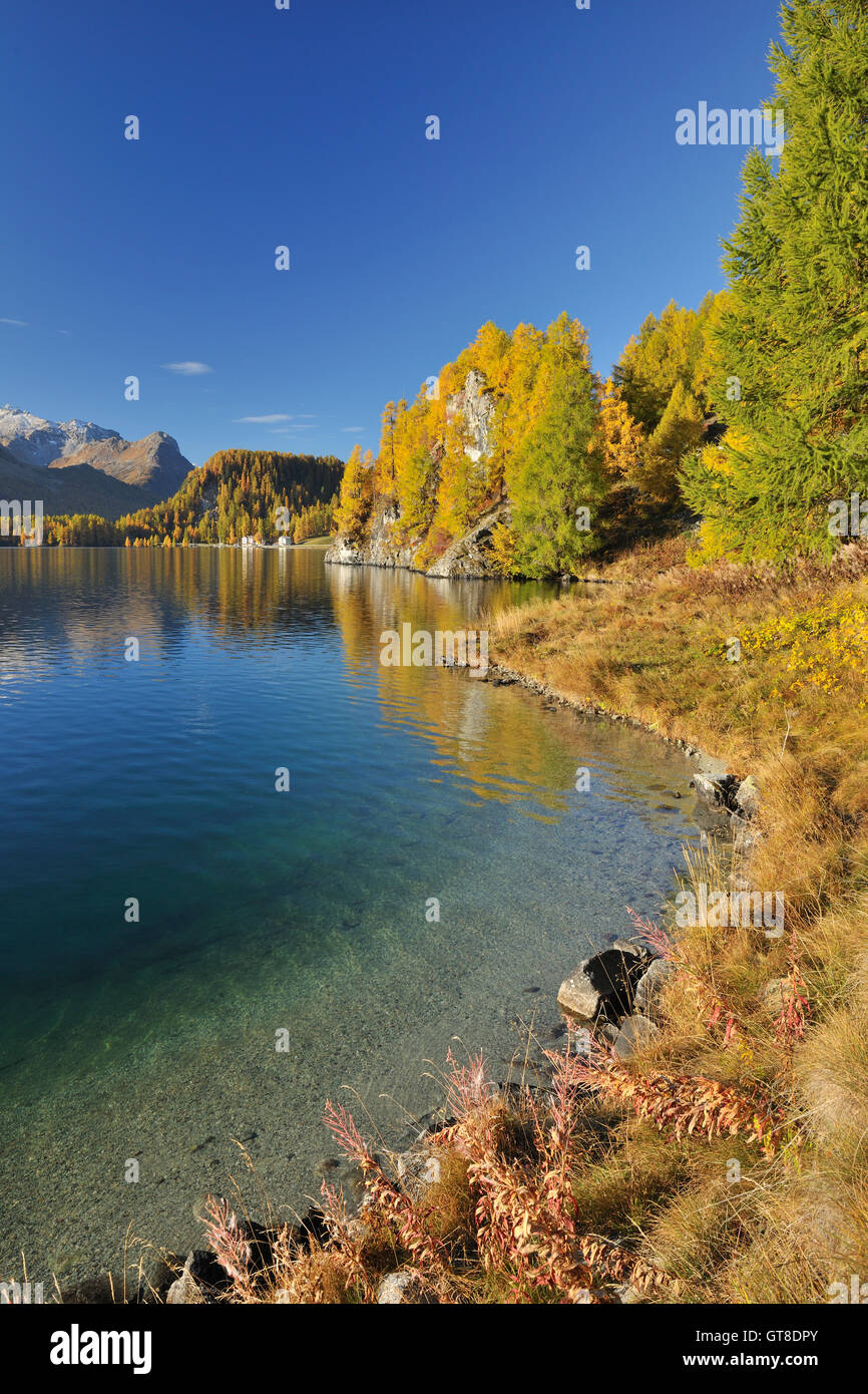 Autumn Landscape and Shoreline, Silsersee, Engadin, Canton of Graubunden, Switzerland Stock Photo