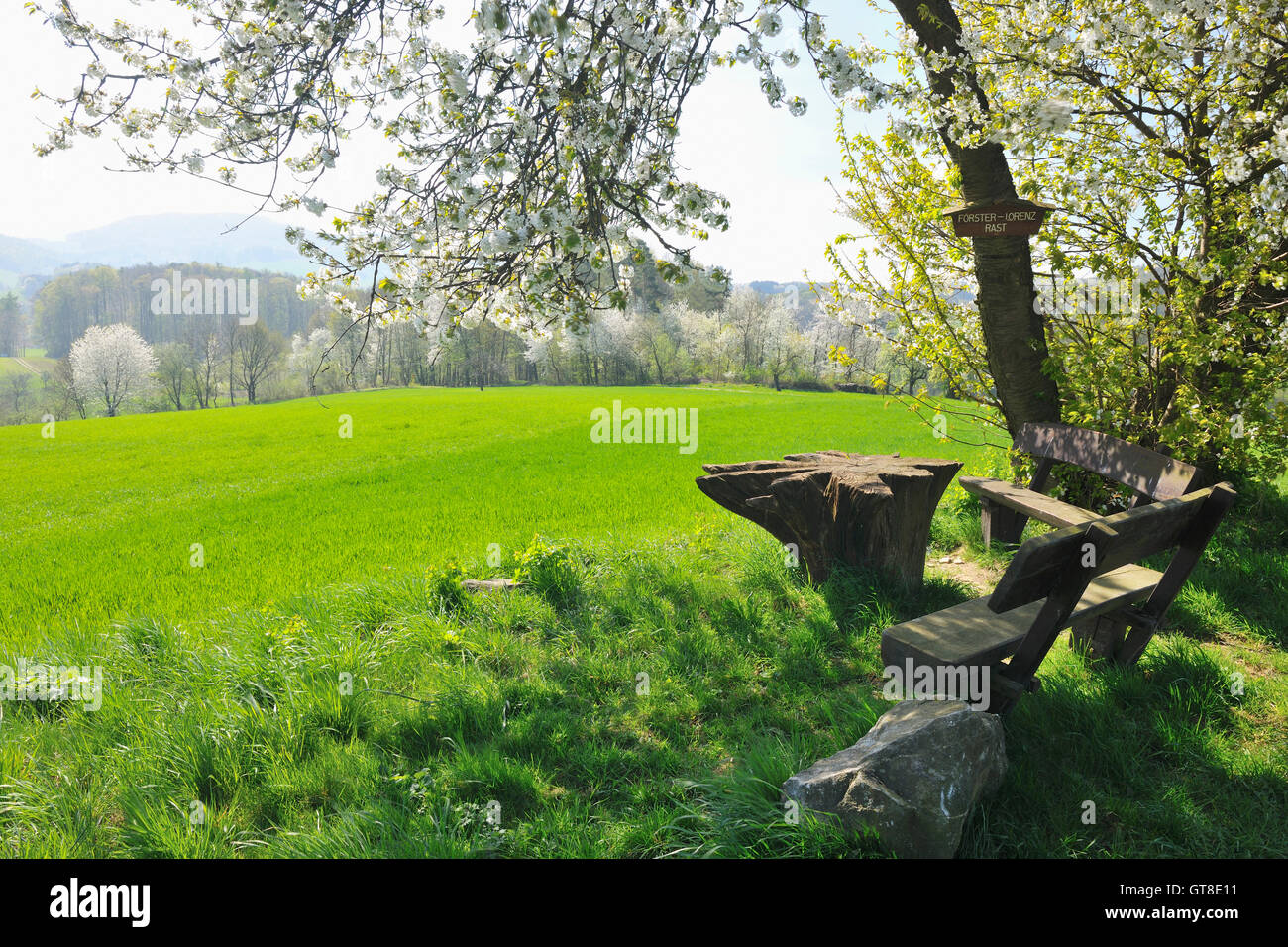 Reichelsheim High Resolution Stock Photography And Images Alamy