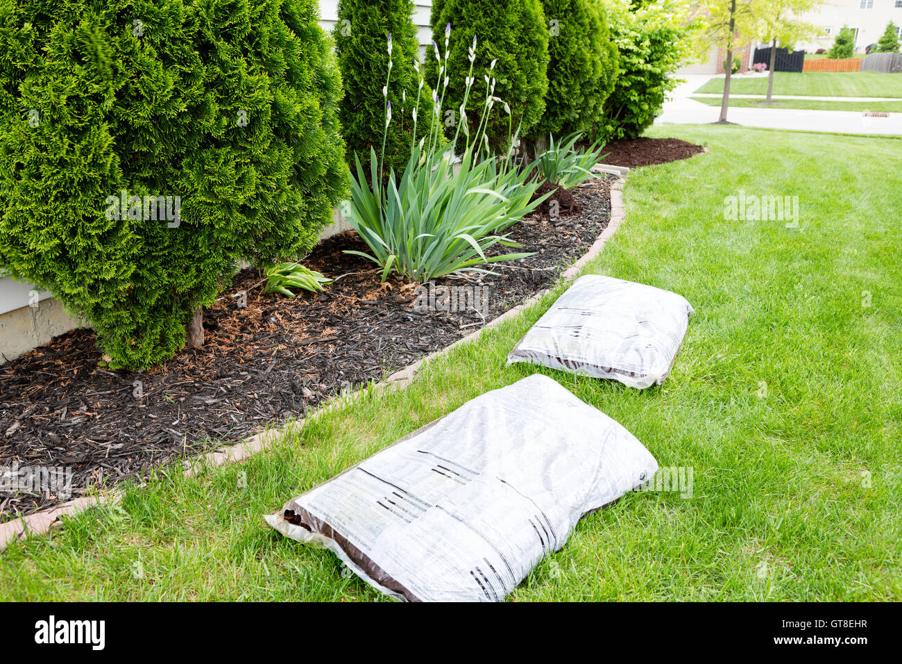Mulching flowerbeds around the house with bags of organic mulch from a nursery lying on a green lawn alongside a bed containing Stock Photo