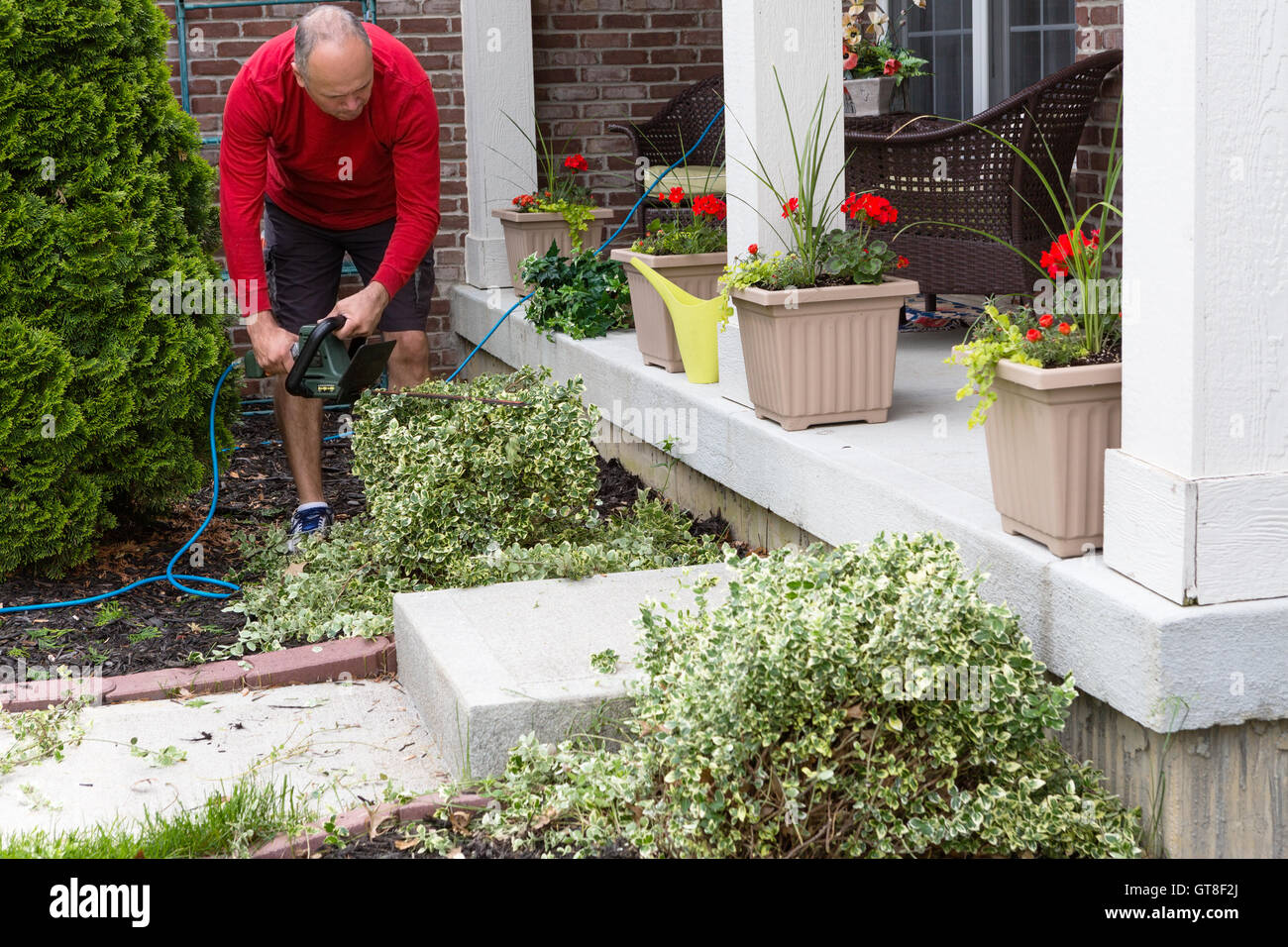 Gardener trimming ornamental foliage shrubs in the garden alongside an exterior porch on the house decorated with colorful flowe Stock Photo