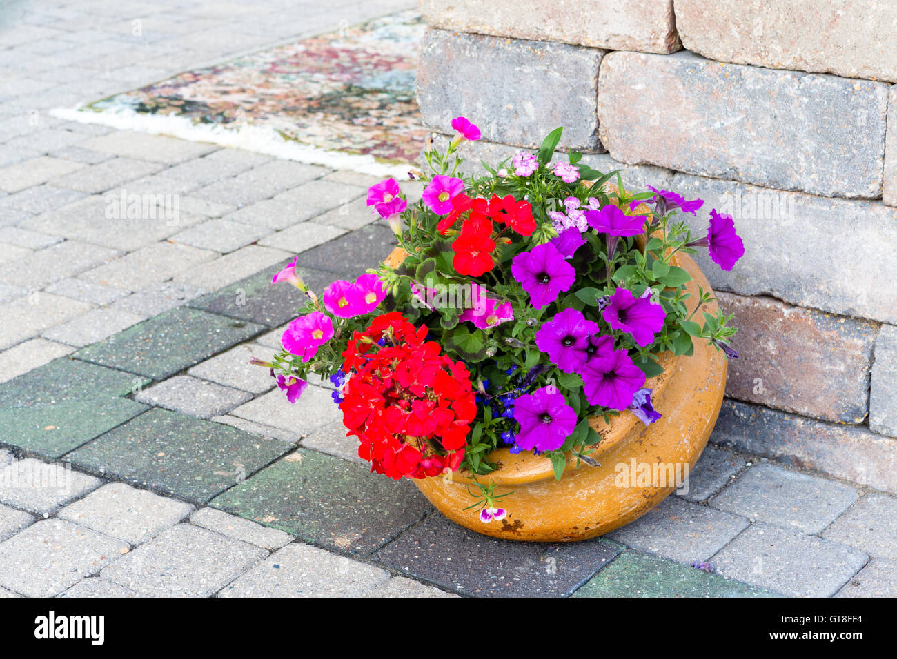 Ornamental display of colorful flowers in a tilted terracotta flowerpot standing at te edge of a building on a brick paved patio Stock Photo
