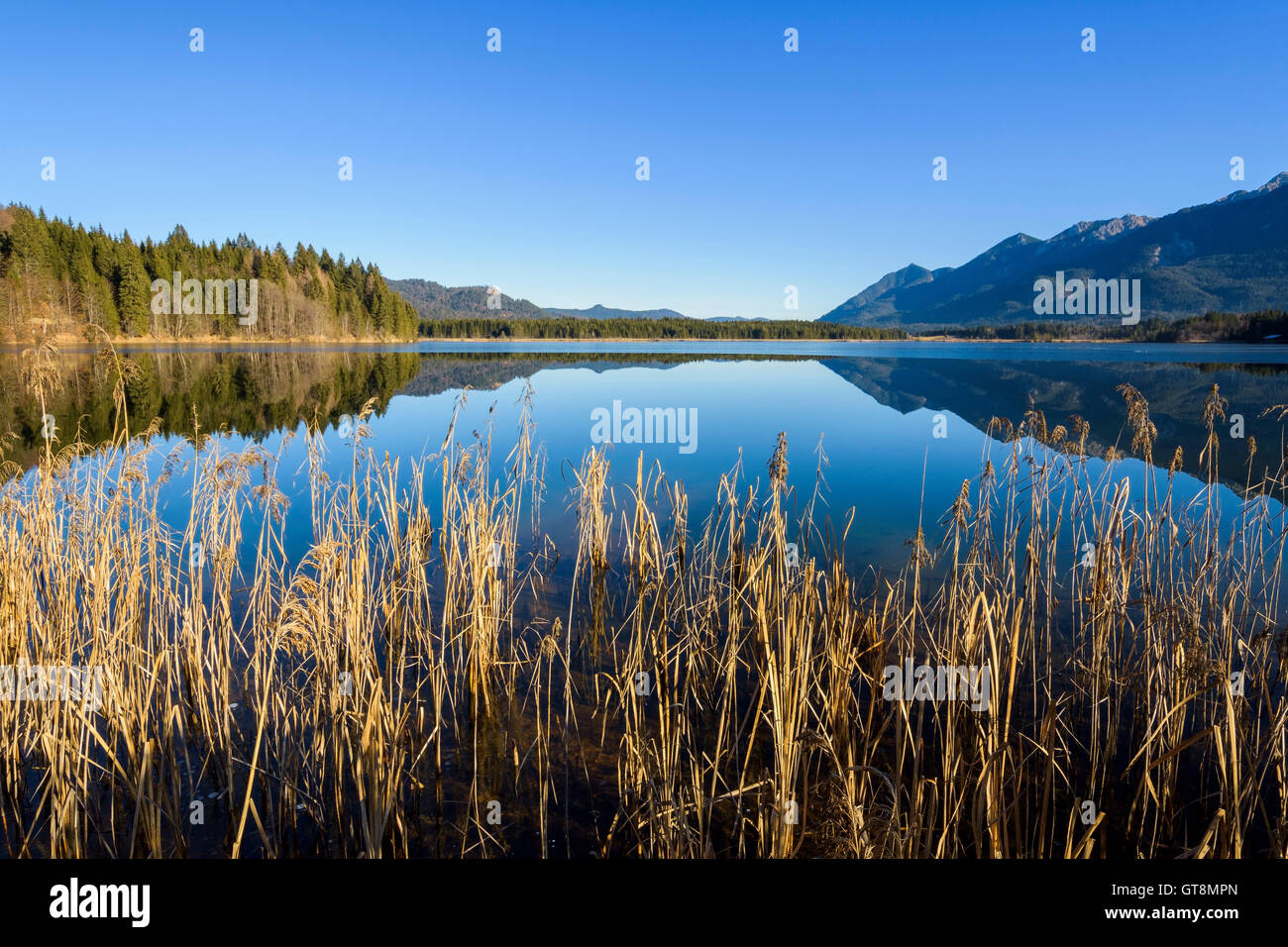 Landscape Reflected in Lake Barmsee, Krun, Upper Bavaria, Bavaria ...