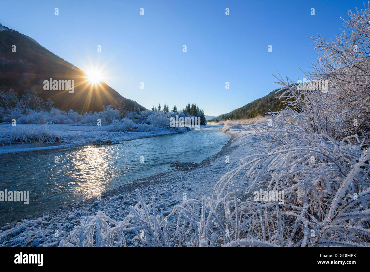River Isar in Winter with Sun and Hoar Frost, Isar Valley, Karwendel, Vorderriss, Upper Bavaria, Bavaria, Germany Stock Photo
