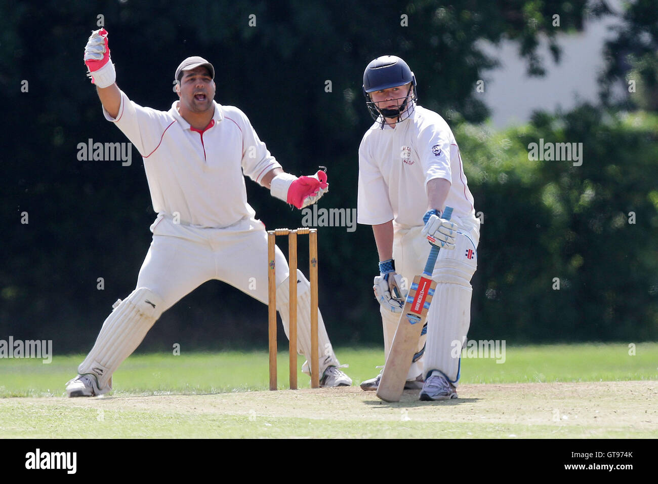 cricket defend the wicket cricket defend the wicket