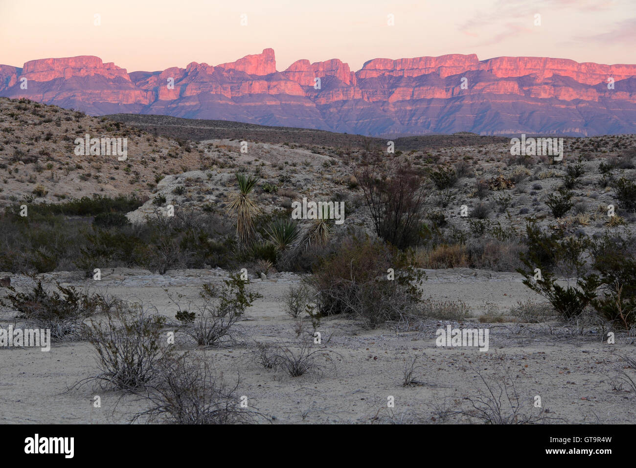 Beautiful Sunset over the Sierra Del Carmen Mountains in Big Bend National Park, Texas Stock Photo