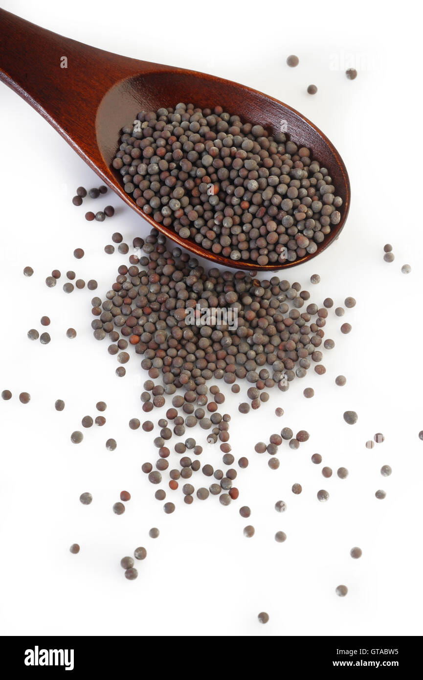 Brown mustard seeds Stock Photo Alamy