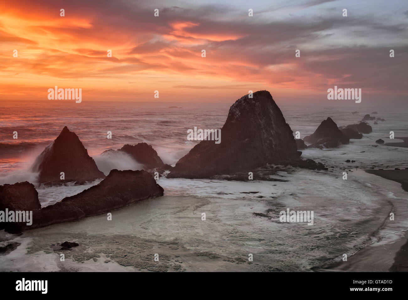 Seal rock oregon hires stock photography and images Alamy