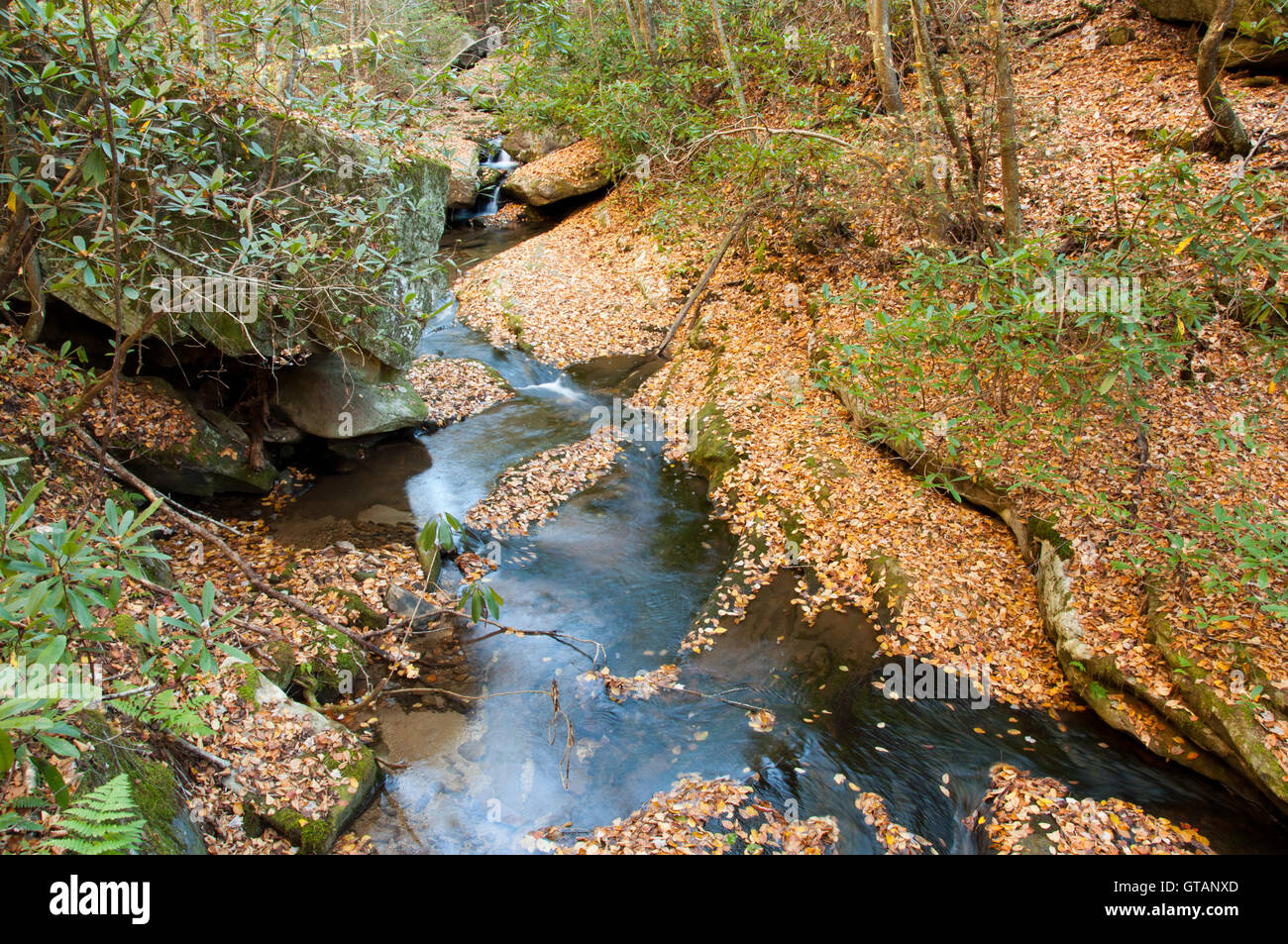 Bad branch flows through boulders down Pine Mountain. Stock Photo