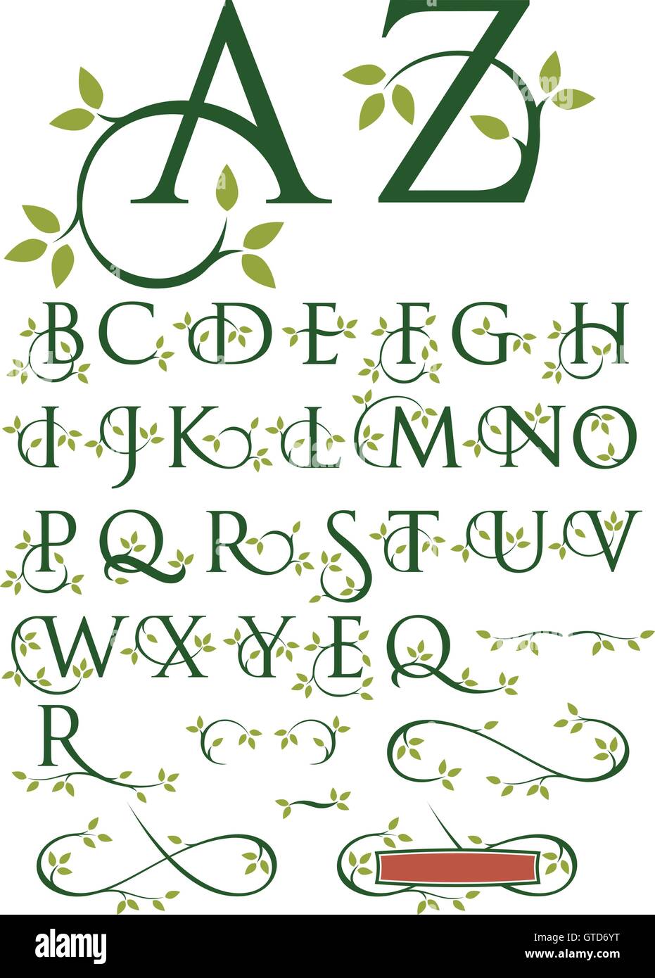 Ornate Swash Vector Alphabet with Leaves, Complete custom alphabet with alternate characters and fancy, ornate swashes and decorations. Stock Vector