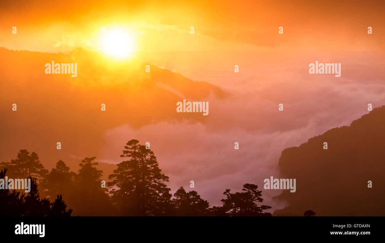 Sunrise with a sea of clouds at Taiwan's mountain range - Hehuanshan. This magical moment is without the need of a description. Stock Photo