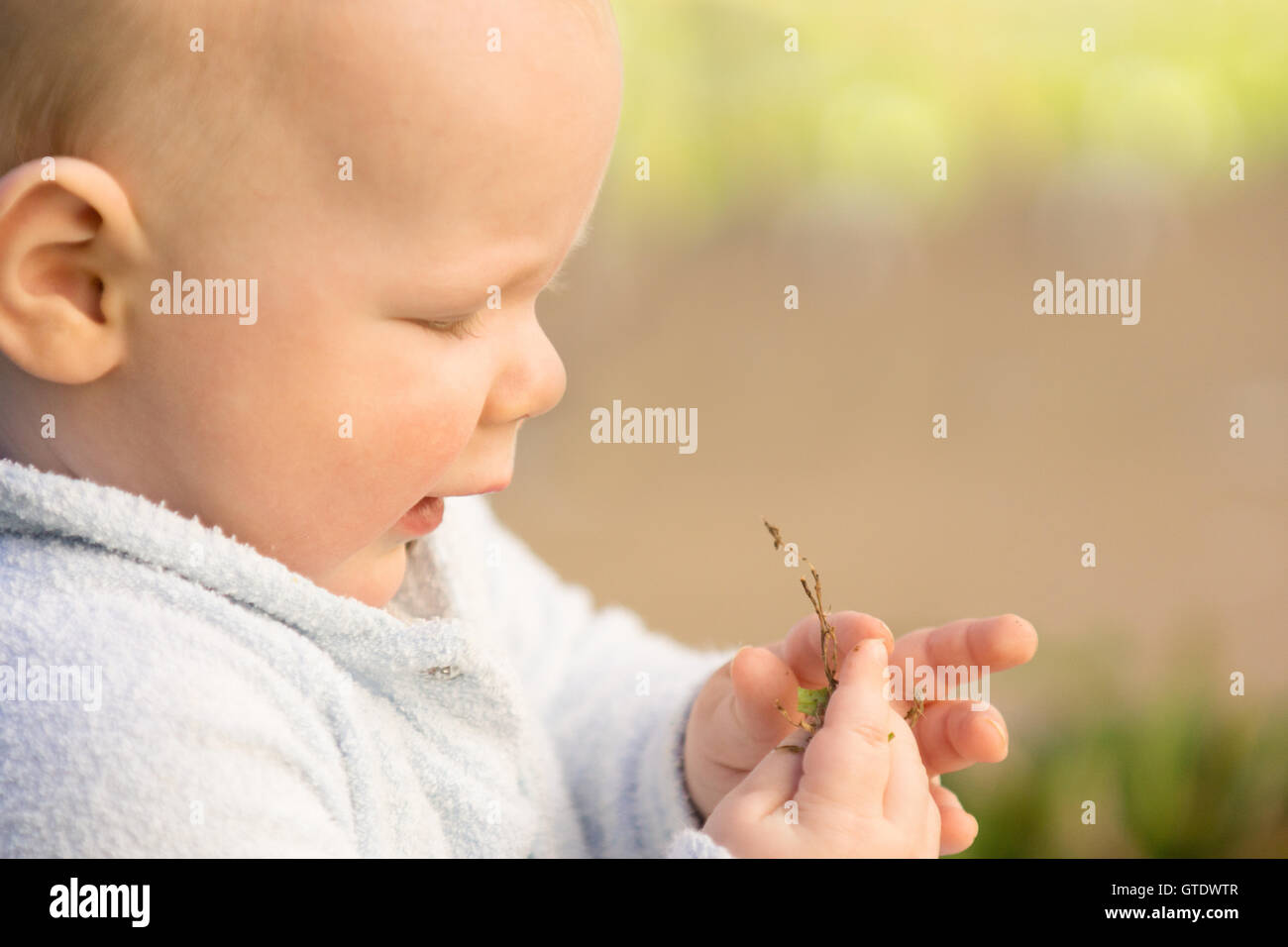 Baby playing with grass and dirt, feeling different textures Stock Photo