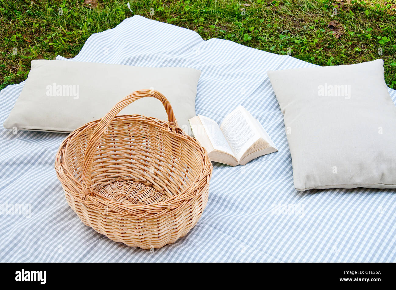 picnic pillows cheap