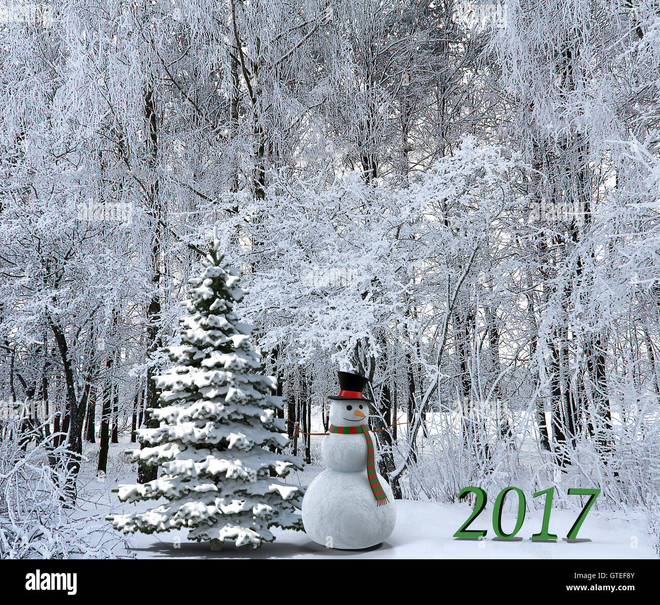 New year: snowman, the Christmas tree in the snow, the trees covered with frost. 2017 new year. Stock Photo