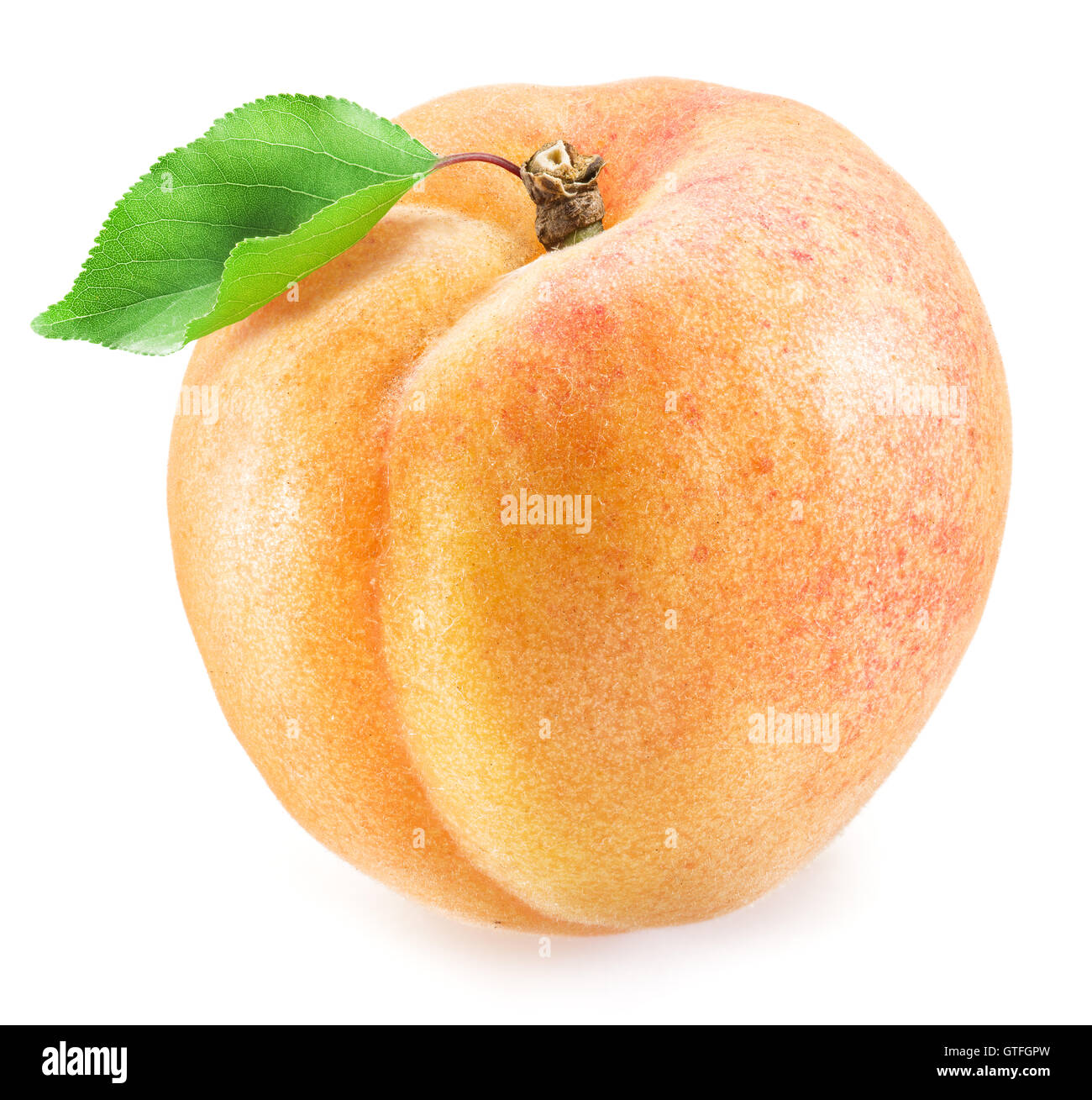 Ripe apricot fruit. Clipping paths Stock Photo Alamy