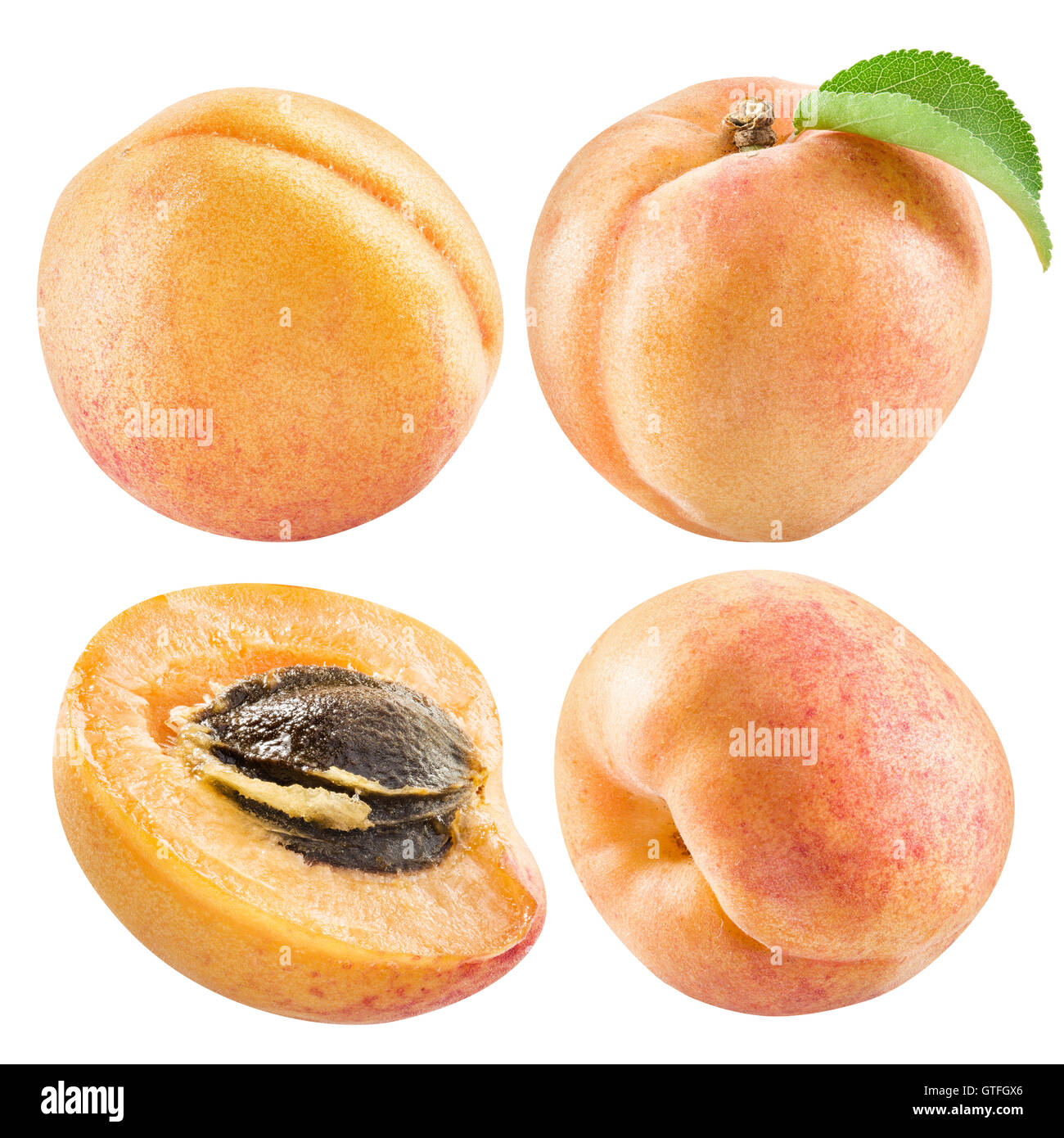 Ripe apricot fruits and apricot slice. File contains four clipping paths. Stock Photo