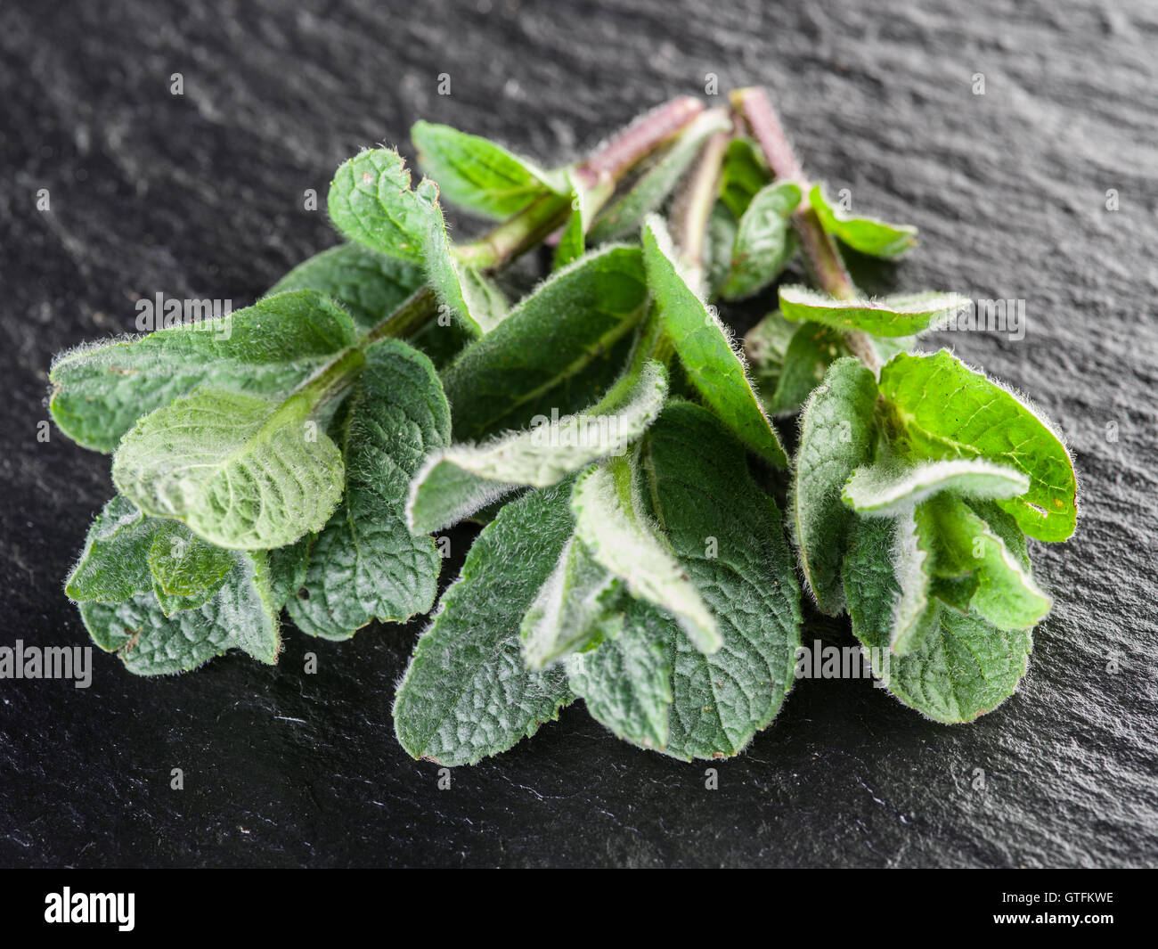 Mint herb on the black graphite board. Stock Photo