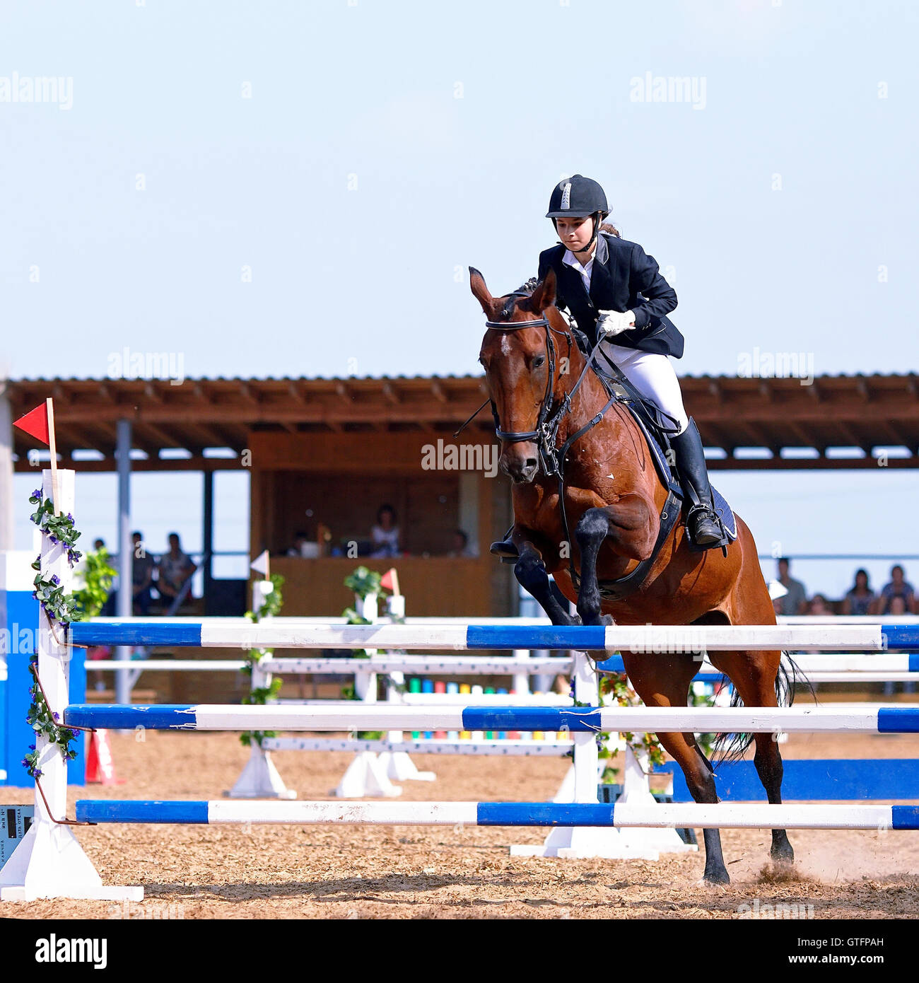 Jump on a horse through an obstacle Stock Photo Alamy