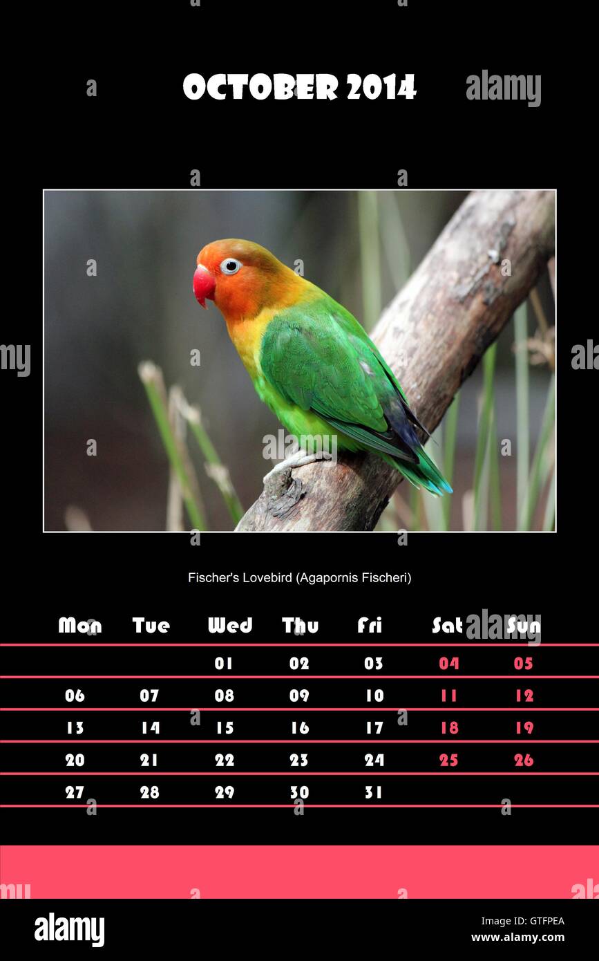 Bird Calendar For 14 October Stock Photo Alamy