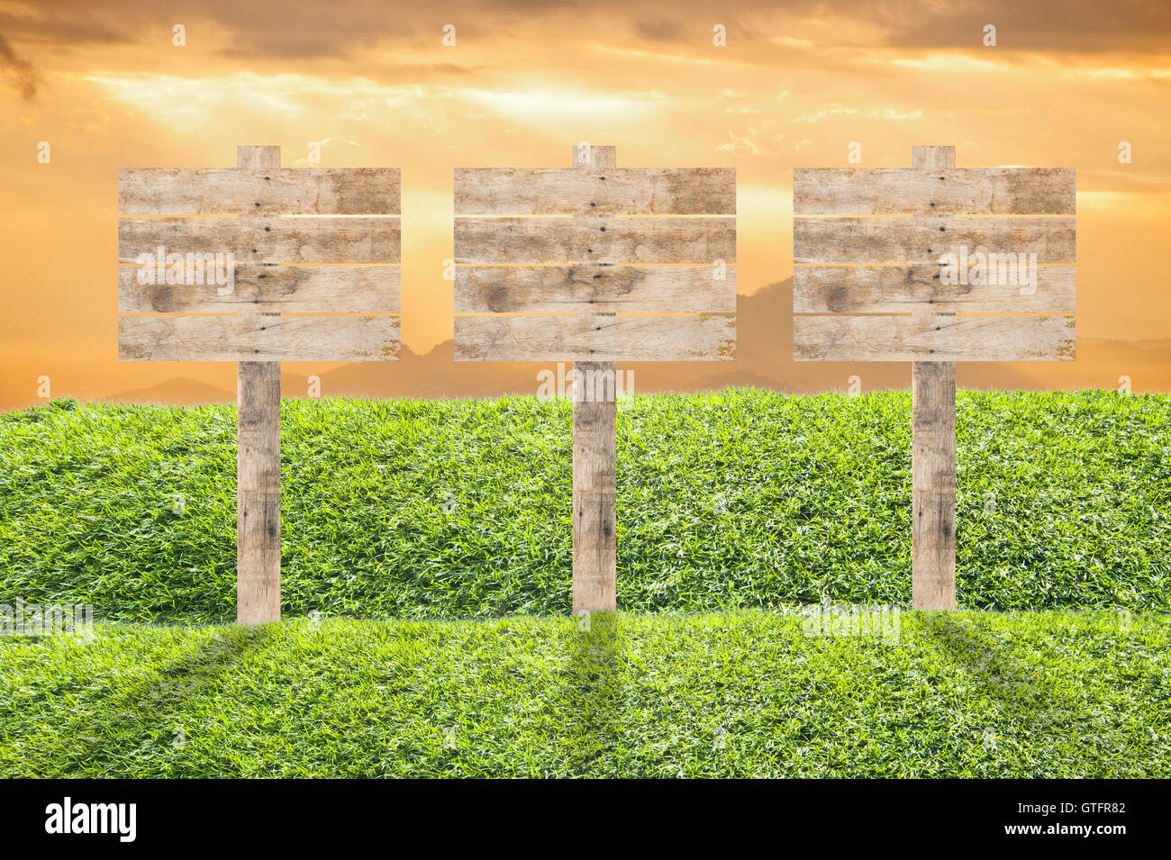 Wooden billboard on the grass background Stock Photo - Alamy