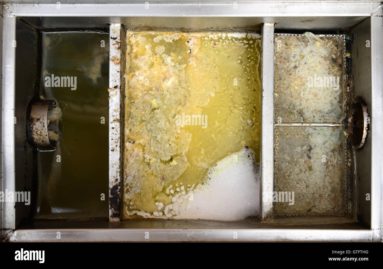 grease trap home depot canyoubeemytalent