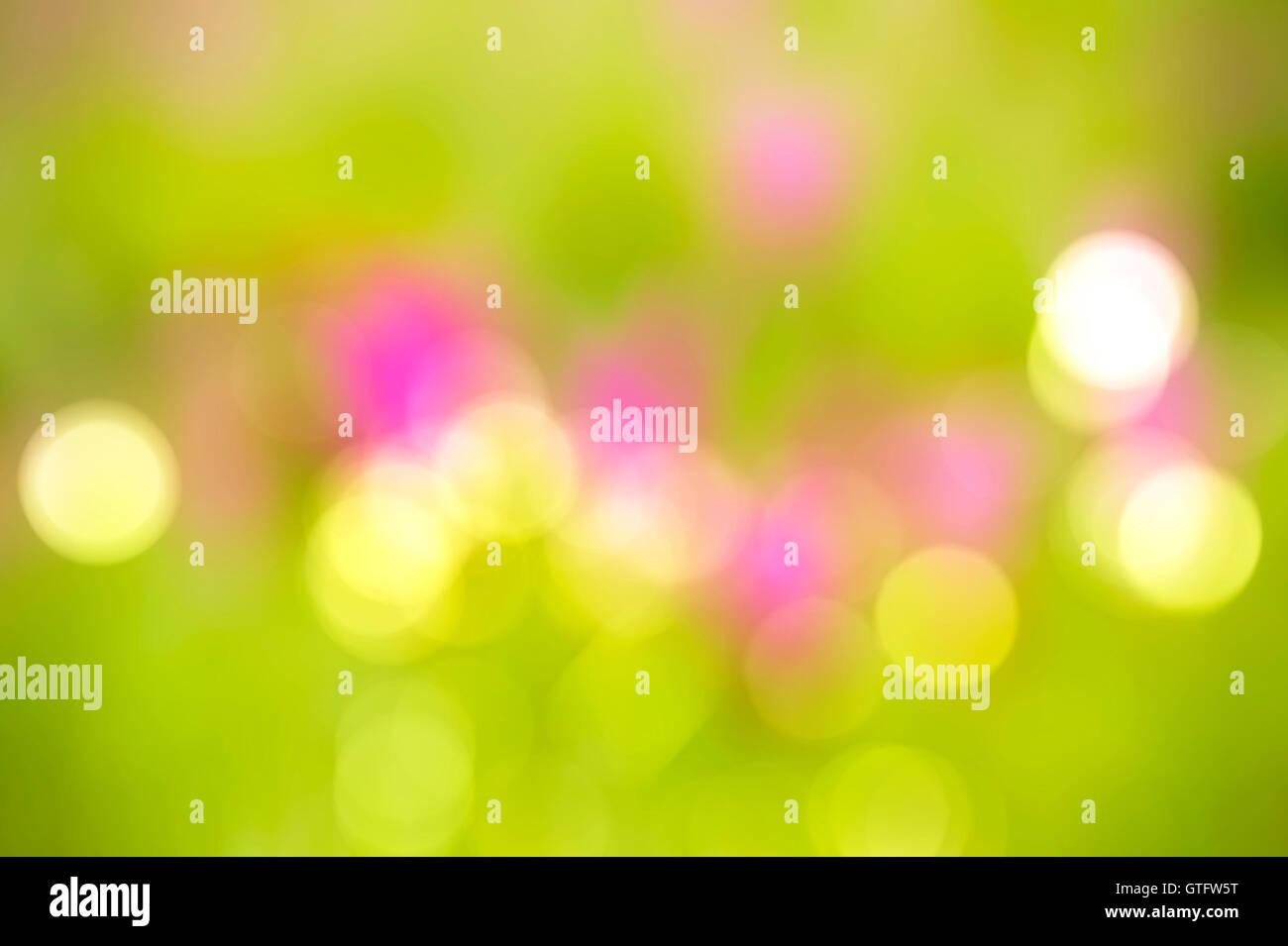 Bokeh pink blinking circles hi-res stock photography and images - Alamy