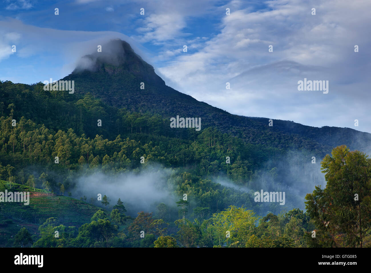 Adam's Peak (Sri Pada) in Sri Lanka at sunrise Stock Photo - Alamy