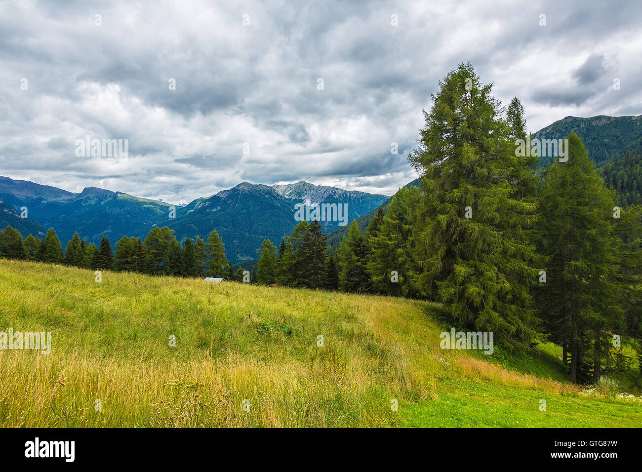 landscape of the Alps in Italy summer Stock Photo - Alamy