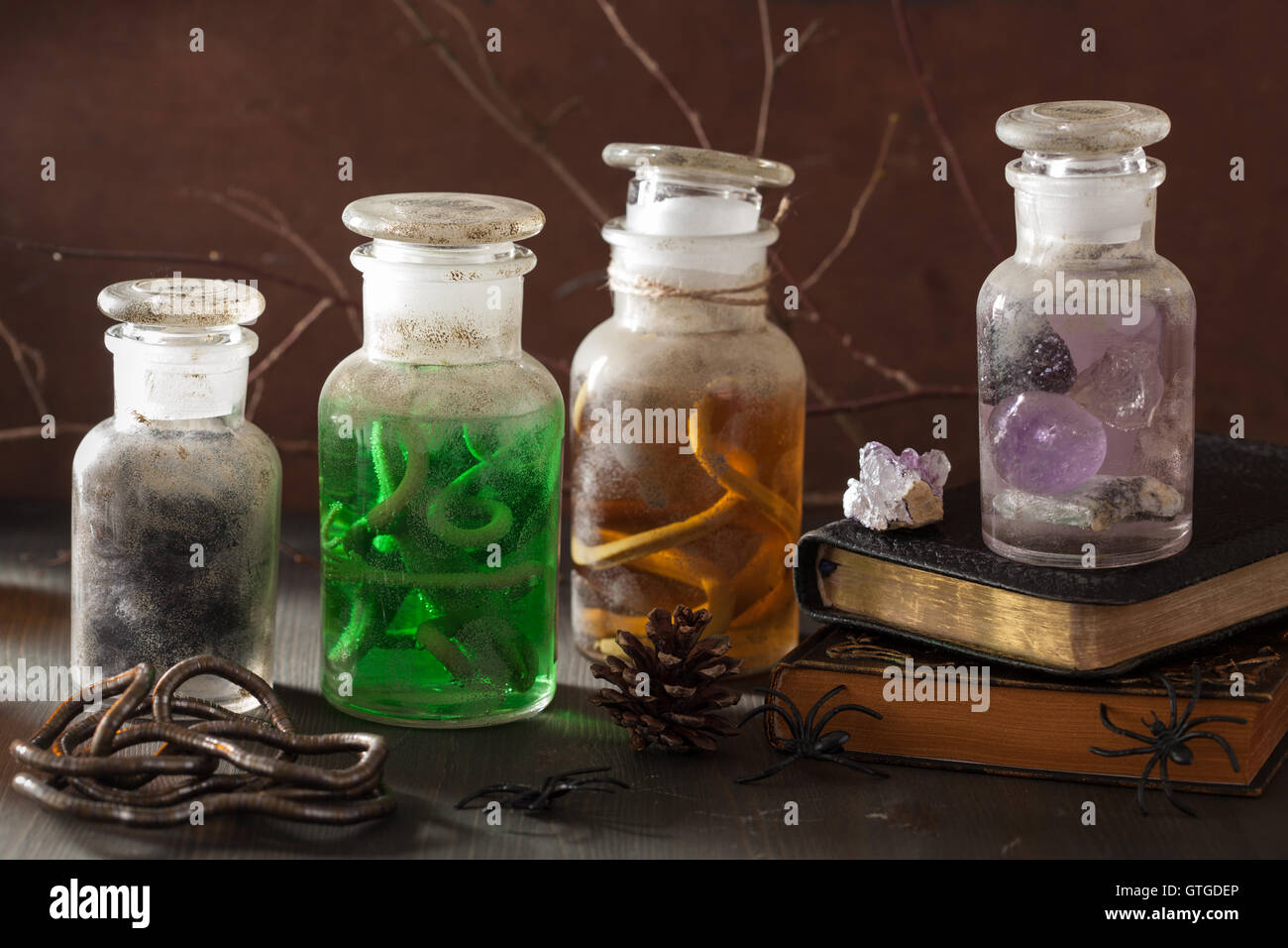 Witch Apothecary Jars Magic Potions Halloween Decoration Stock