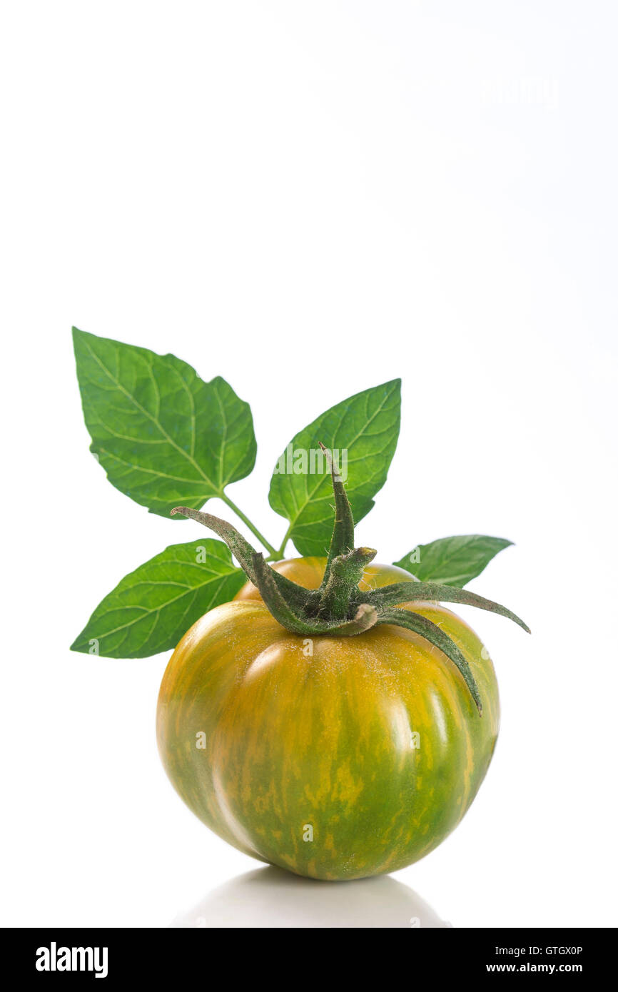 Heirloom Green Zebra Tomato on White background Stock Photo Alamy