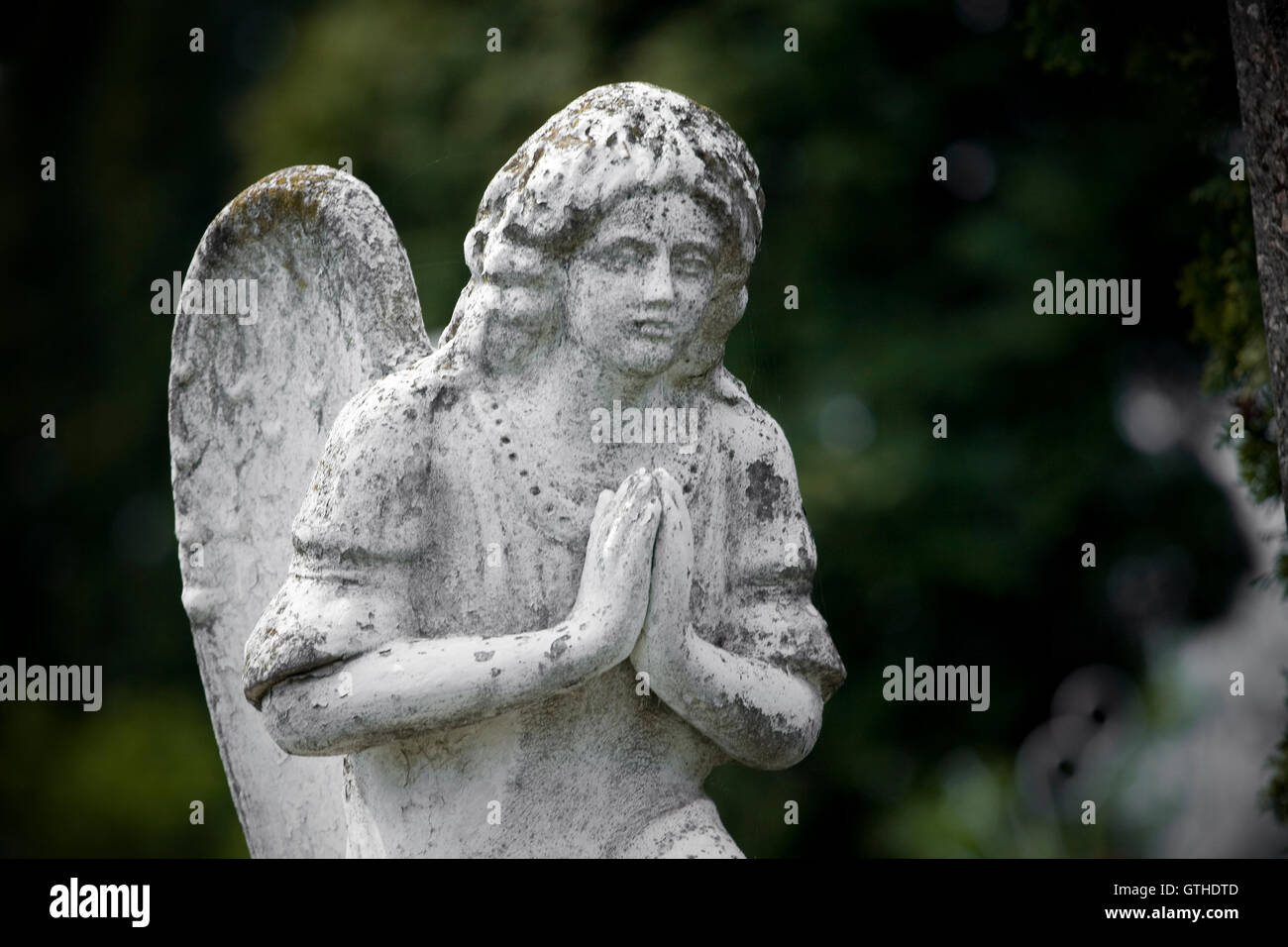 Old cemetery angel sculpture made of stone Stock Photo - Alamy