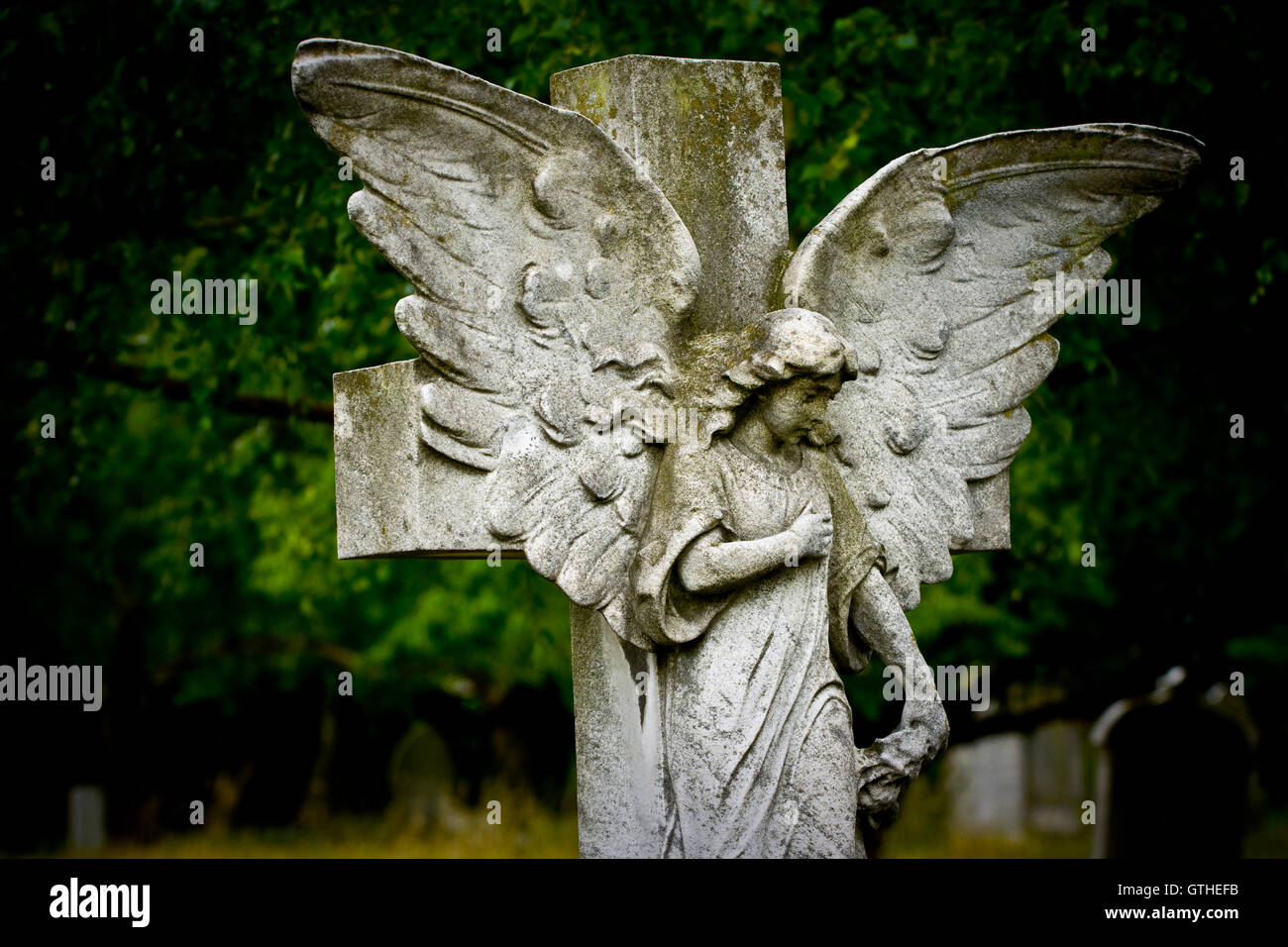 Old cemetery angel sculpture made of stone Stock Photo - Alamy