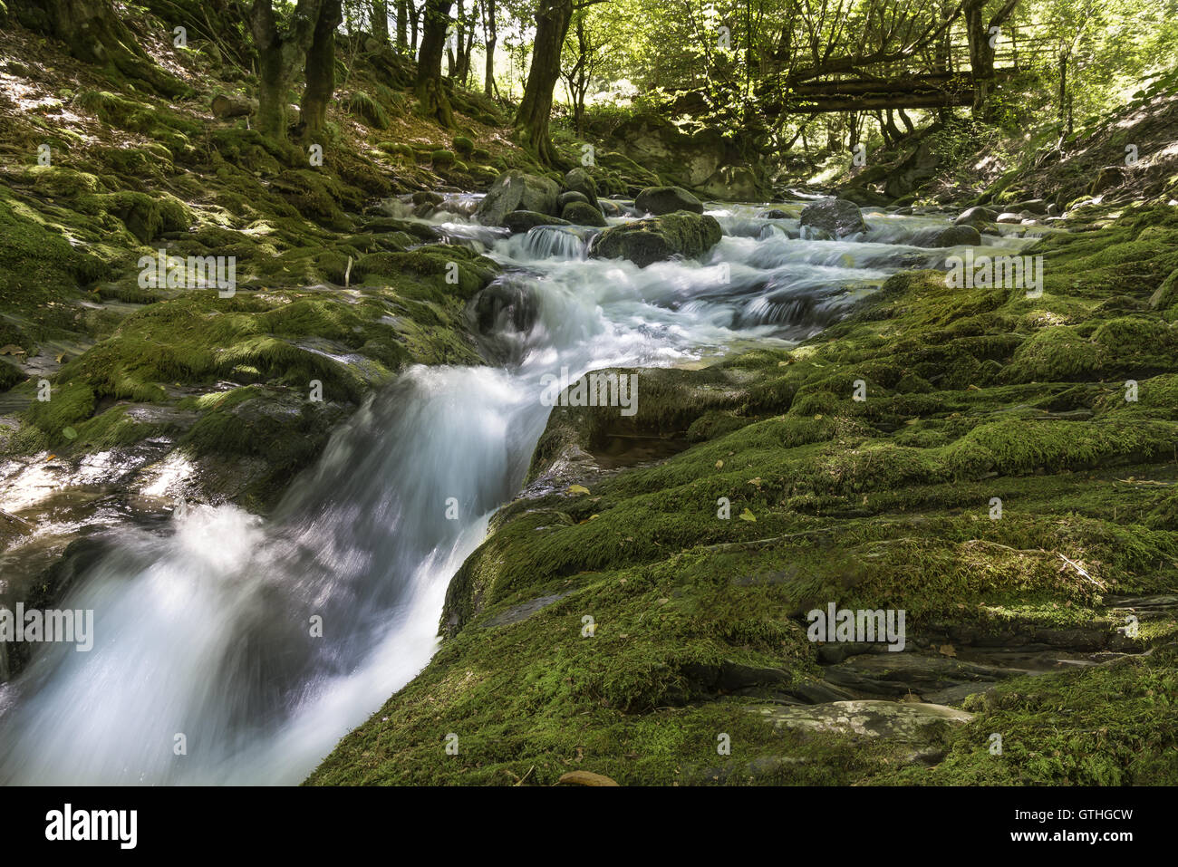 Relaxing mountain stream hi-res stock photography and images - Alamy