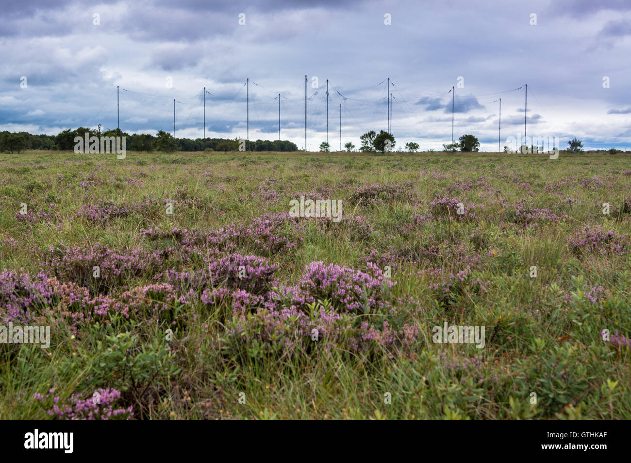 VLF transmitter masts, Anthorn radio station, Bowness Common, Campfield Marsh RSPB Reserve, Bowness-on Solway, Cumbria, England Stock Photo