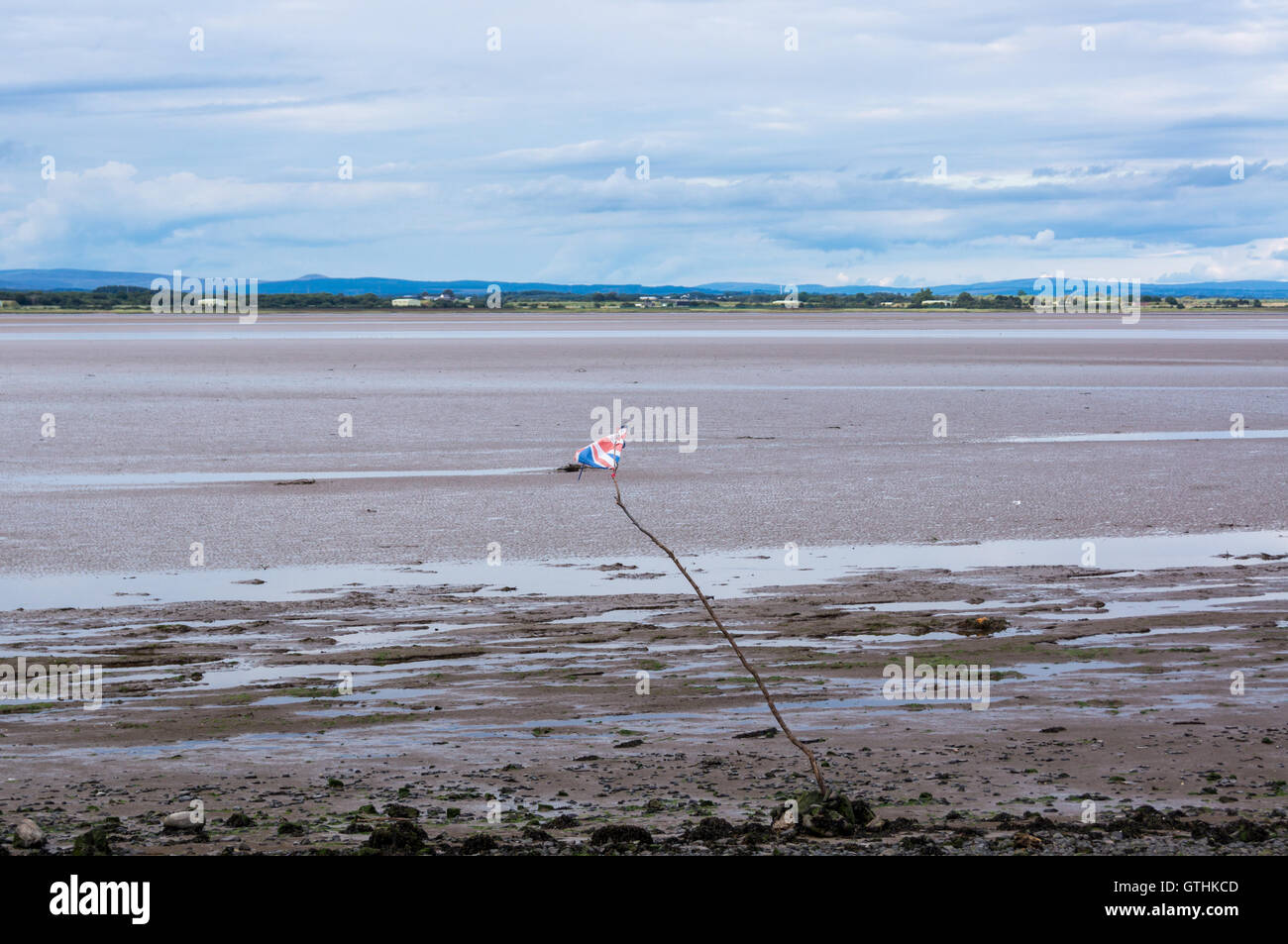 A Union Flag on a branch below high-water mark on the mud flats on Solway Firth, Bowness-on Solway, Cumbria, England Stock Photo