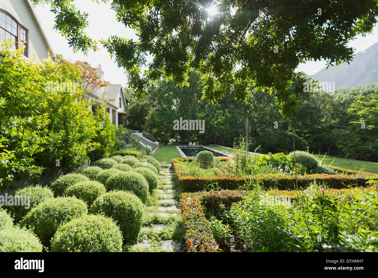 Lush green garden hi-res stock photography and images - Alamy
