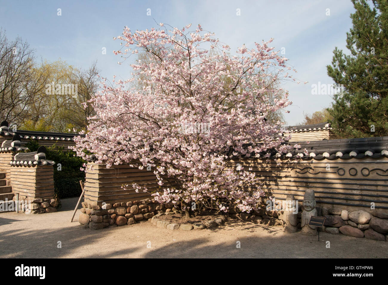 korean garden Gärten der Welt. Berlin Germany Stock Photo Alamy