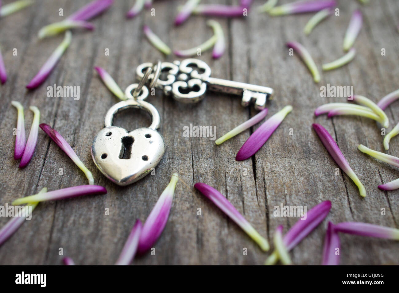 Key with heart shaped lock Stock Photo