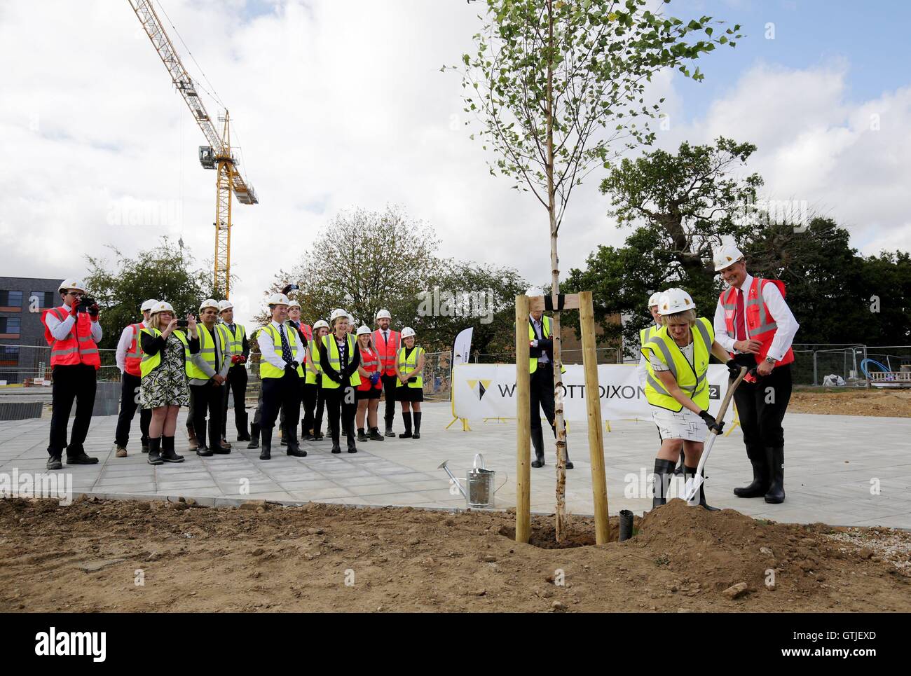 Maureen Johnson, Headteacher of the Weald of Kent Grammar School, plants a tree on the construction site of the new school annexe in Sevenoaks, Kent, to mark the start of the building work. Stock Photo