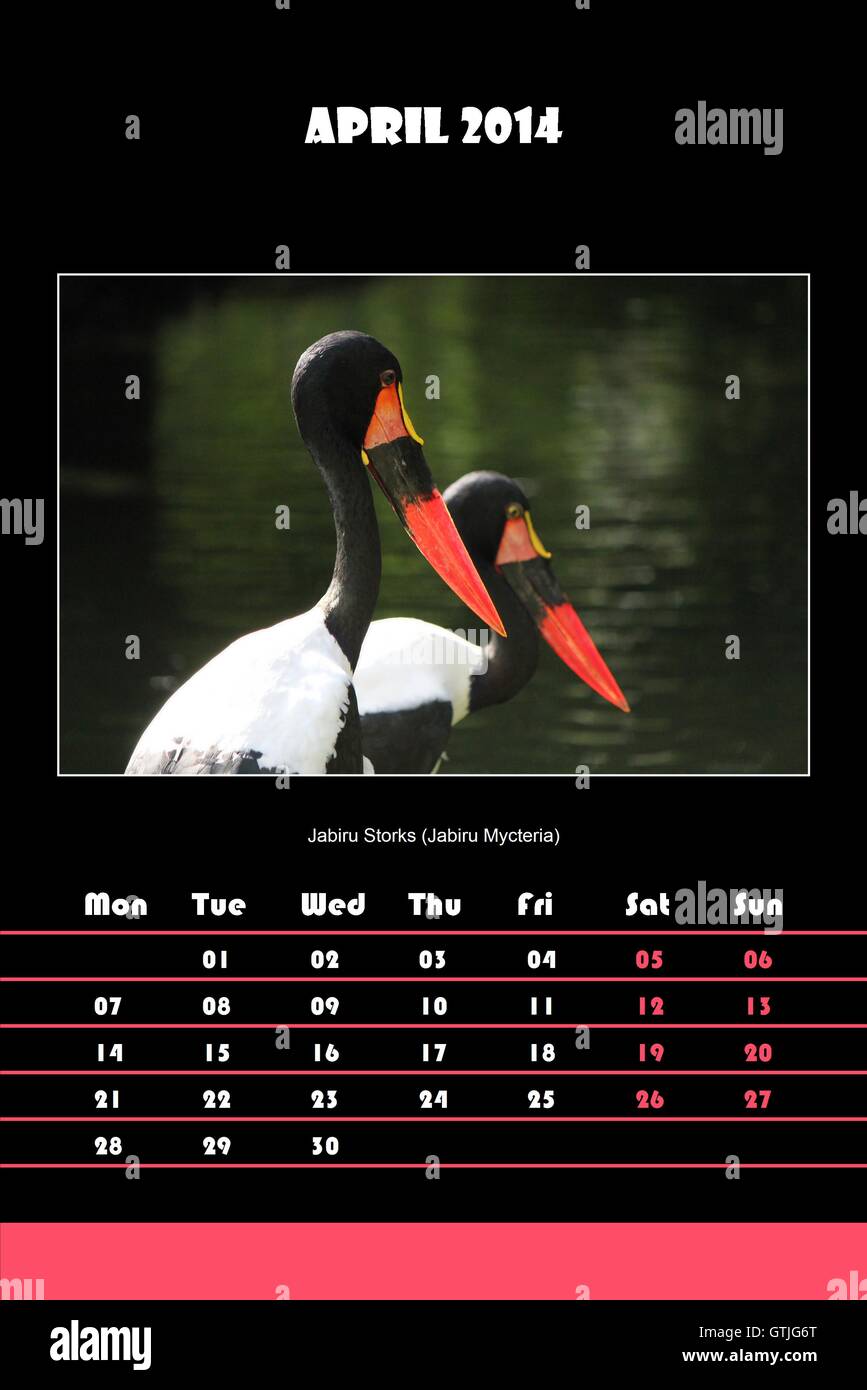 Bird Calendar For 2014 April Stock Photo Alamy