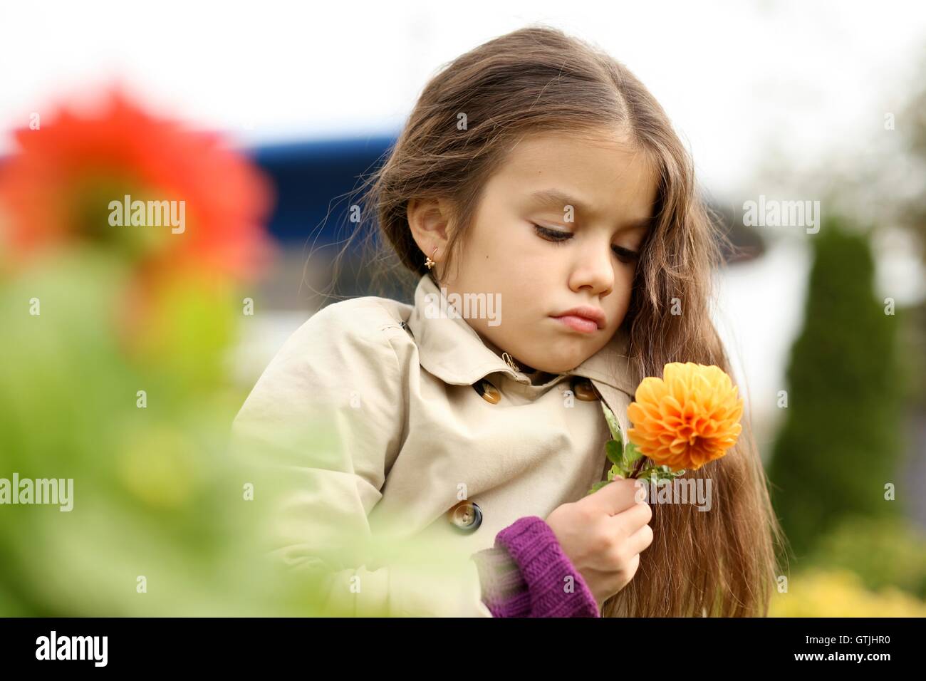 little girl in the autumn park Stock Photo - Alamy