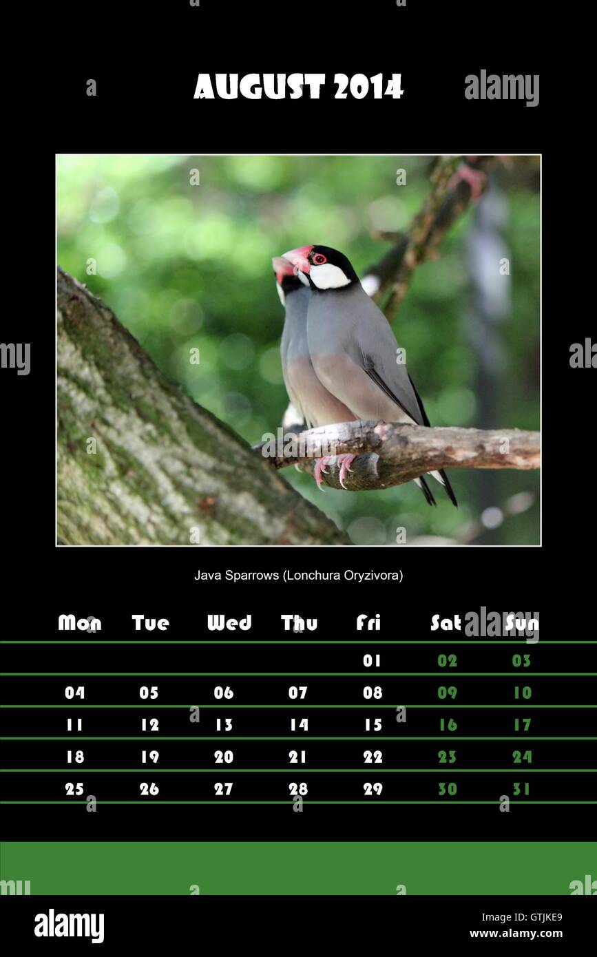 Bird calendar for 2014 august Stock Photo Alamy
