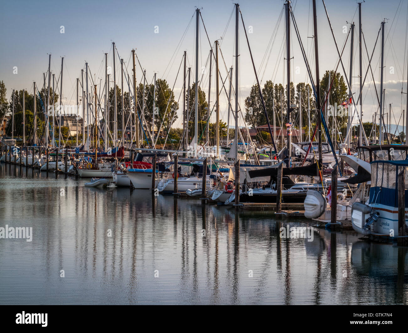 crowded sail boats and yachts in row anchored in marina of Point Roberts, Stock Photo