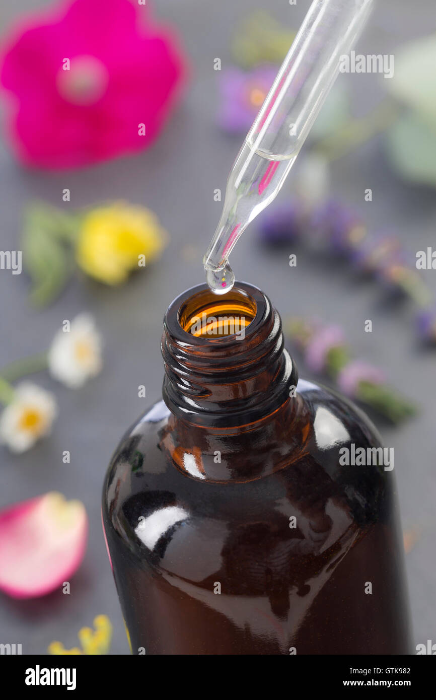 Herbal medicine with dropper bottle on grey background Stock Photo